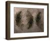 Peacock Feathers III-Natasha Wescoat-Framed Giclee Print