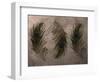 Peacock Feathers III-Natasha Wescoat-Framed Giclee Print