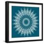 Peacock Feathers Mandala-null-Framed Premium Giclee Print