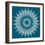 Peacock Feathers Mandala-null-Framed Premium Giclee Print