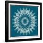 Peacock Feathers Mandala-null-Framed Art Print