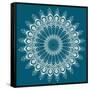 Peacock Feathers Mandala-null-Framed Stretched Canvas