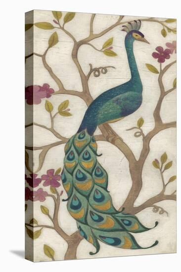 Peacock Fresco I-June Erica Vess-Stretched Canvas