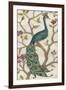 Peacock Fresco I-June Erica Vess-Framed Art Print