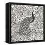 Peacock Garden III BW-Miranda Thomas-Framed Stretched Canvas