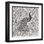 Peacock Garden III BW-Miranda Thomas-Framed Art Print