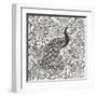 Peacock Garden III BW-Miranda Thomas-Framed Art Print