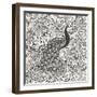 Peacock Garden III BW-Miranda Thomas-Framed Art Print