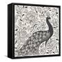 Peacock Garden IV BW-Miranda Thomas-Framed Stretched Canvas