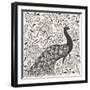 Peacock Garden IV BW-Miranda Thomas-Framed Art Print