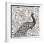 Peacock Garden IV BW-Miranda Thomas-Framed Art Print