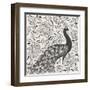 Peacock Garden IV BW-Miranda Thomas-Framed Art Print