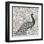 Peacock Garden IV BW-Miranda Thomas-Framed Art Print