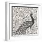 Peacock Garden IV BW-Miranda Thomas-Framed Art Print