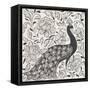 Peacock Garden IV BW-Miranda Thomas-Framed Stretched Canvas