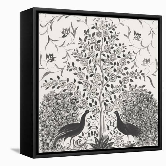 Peacock Garden VIII BW-Miranda Thomas-Framed Stretched Canvas