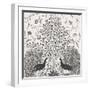 Peacock Garden VIII BW-Miranda Thomas-Framed Art Print