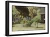 Peacock, Guatemala-Theo Westenberger-Framed Photographic Print