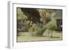 Peacock, Guatemala-Theo Westenberger-Framed Photographic Print