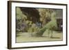 Peacock, Guatemala-Theo Westenberger-Framed Photographic Print