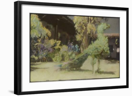 Peacock, Guatemala-Theo Westenberger-Framed Photographic Print