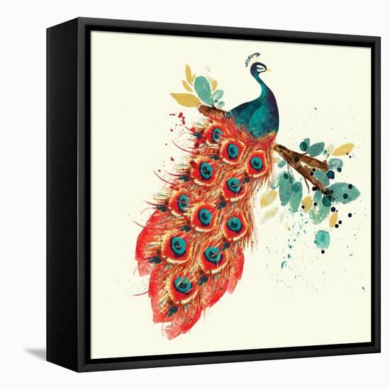 Peacock I-Sara Berrenson-Framed Stretched Canvas