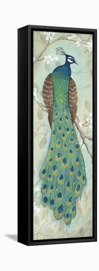 Peacock I-Steve Leal-Framed Stretched Canvas