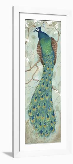 Peacock II-Steve Leal-Framed Premium Giclee Print