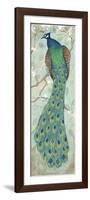 Peacock II-Steve Leal-Framed Premium Giclee Print