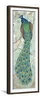 Peacock II-Steve Leal-Framed Premium Giclee Print