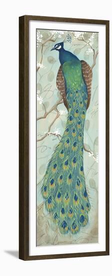 Peacock II-Steve Leal-Framed Premium Giclee Print