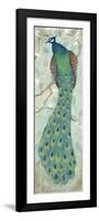 Peacock II-Steve Leal-Framed Premium Giclee Print