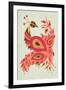 Peacock in Gold and Pink-Cat Coquillette-Framed Art Print