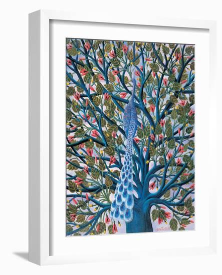 Peacock in Tree-Tamas Galambos-Framed Giclee Print