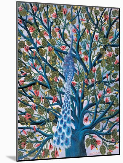Peacock in Tree-Tamas Galambos-Mounted Giclee Print