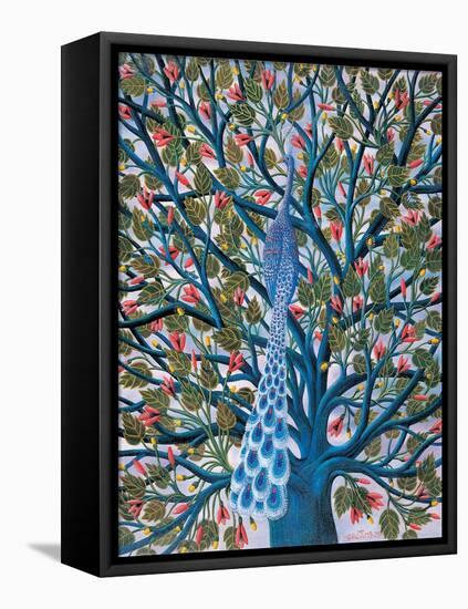 Peacock in Tree-Tamas Galambos-Framed Stretched Canvas