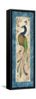 Peacock IV-Steve Leal-Framed Stretched Canvas