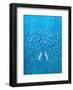 Peacock - Jethro Wilson Contemporary Wildlife Print-Jethro Wilson-Framed Art Print