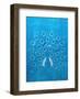 Peacock - Jethro Wilson Contemporary Wildlife Print-Jethro Wilson-Framed Art Print