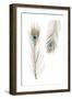 Peacock Love 2-Boho Hue Studio-Framed Art Print