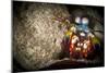 Peacock Mantis Shrimp Peering from Behind a Rock, Indonesia-null-Mounted Photographic Print