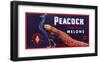 Peacock Melons-J^H^ Smith-Framed Art Print