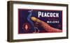 Peacock Melons-J^H^ Smith-Framed Art Print