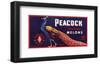 Peacock Melons-J^H^ Smith-Framed Art Print