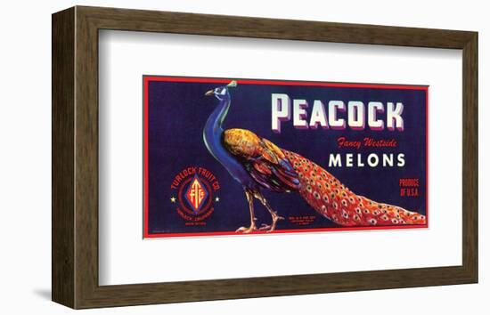 Peacock Melons-J^H^ Smith-Framed Art Print