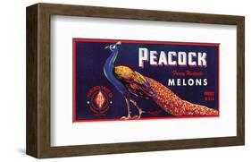 Peacock Melons-J^H^ Smith-Framed Art Print