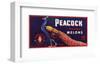 Peacock Melons-J^H^ Smith-Framed Art Print