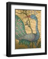 Peacock Mosaic, Eleftherotria Monastery, Macherado, Zakynthos, Ionian Islands, Greece-Walter Bibikow-Framed Photographic Print