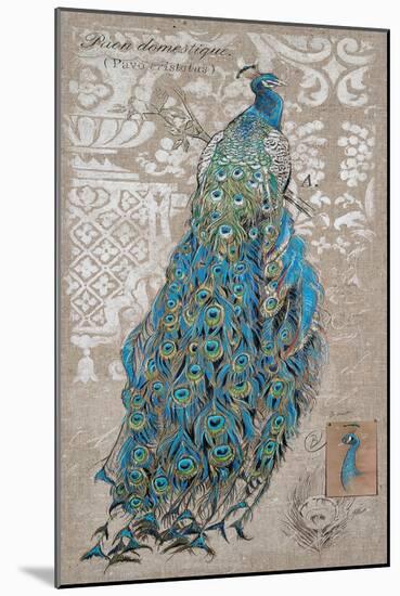 Peacock on Linen 1-Chad Barrett-Mounted Art Print
