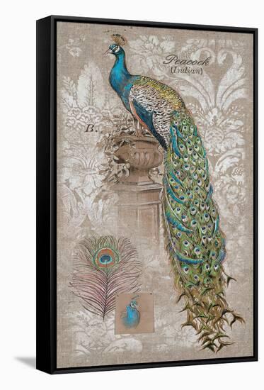 Peacock on Linen 2-Chad Barrett-Framed Stretched Canvas